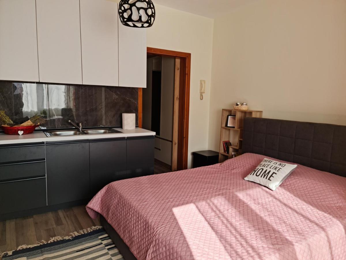 Lovely One Bedroom Studio In ティラナ エクステリア 写真